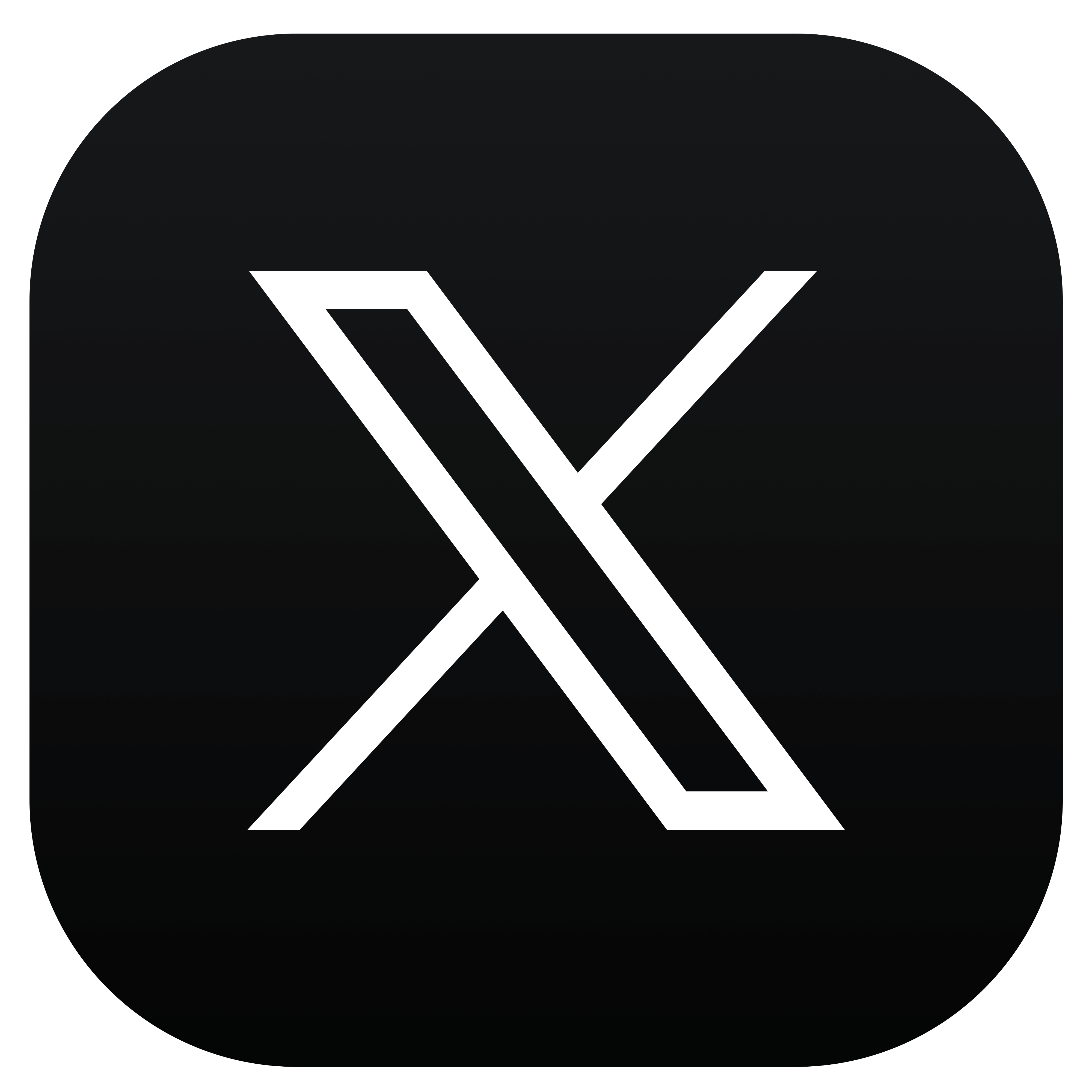 X Icon